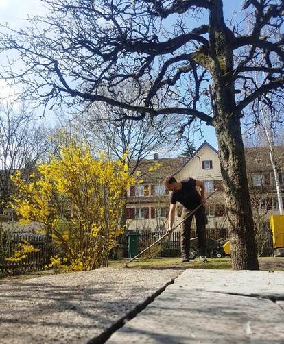 Bild